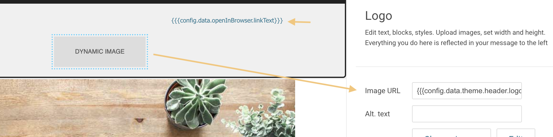 header_footercontent2.png
